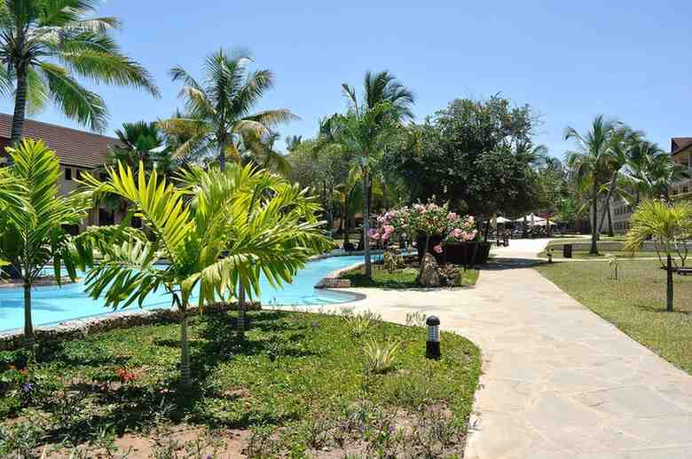 Areca Palm